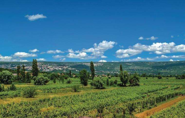 Villa Olea Zmijavci Bagian luar foto