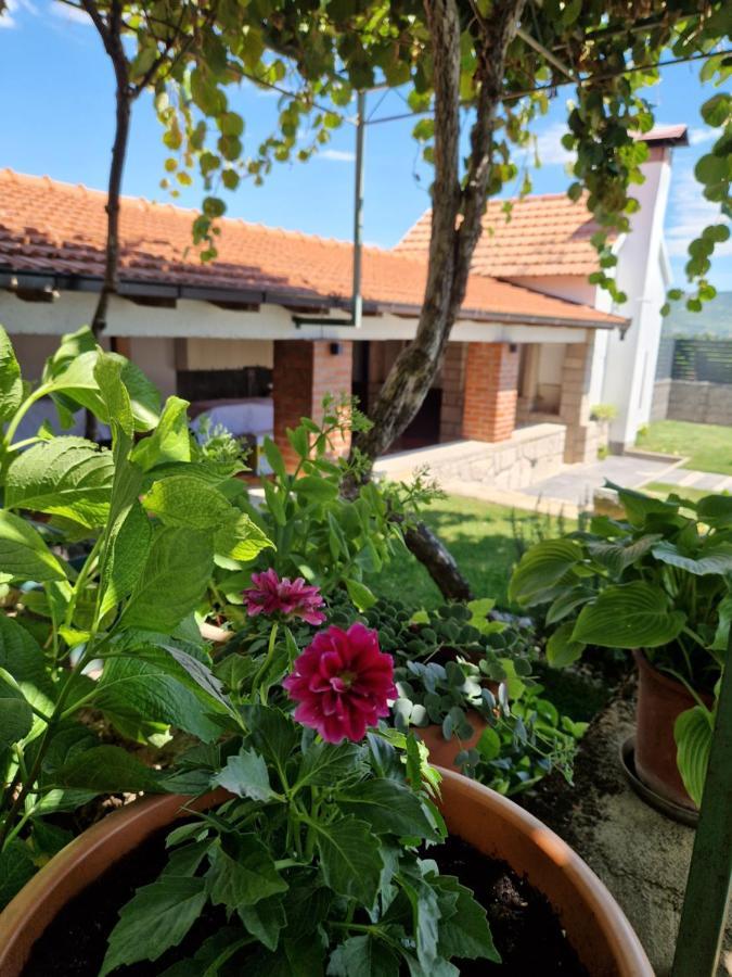 Villa Olea Zmijavci Bagian luar foto