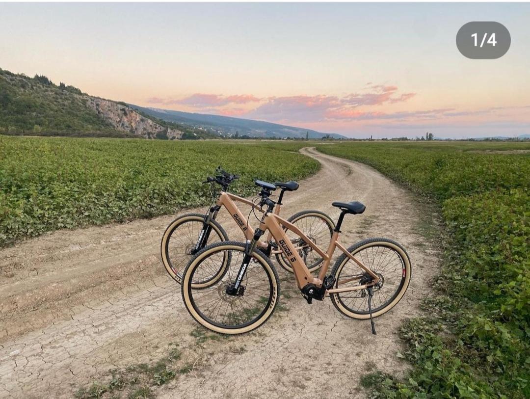 Villa Olea Zmijavci Bagian luar foto